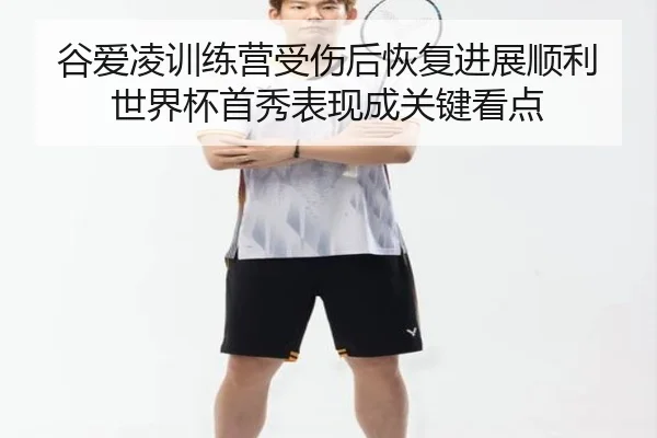 gu-ai-ling-xun-lian-ying-shou-shang-hou-hui-fu-jin-zhan-shun-li-shi-jie-bei-shou-xiu-biao-xian-cheng-guan-jian-kan-dian-2-241.jpg