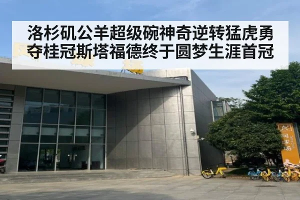 洛杉矶公羊超级碗神奇逆转猛虎勇夺桂冠斯塔福德终于圆梦生涯首冠